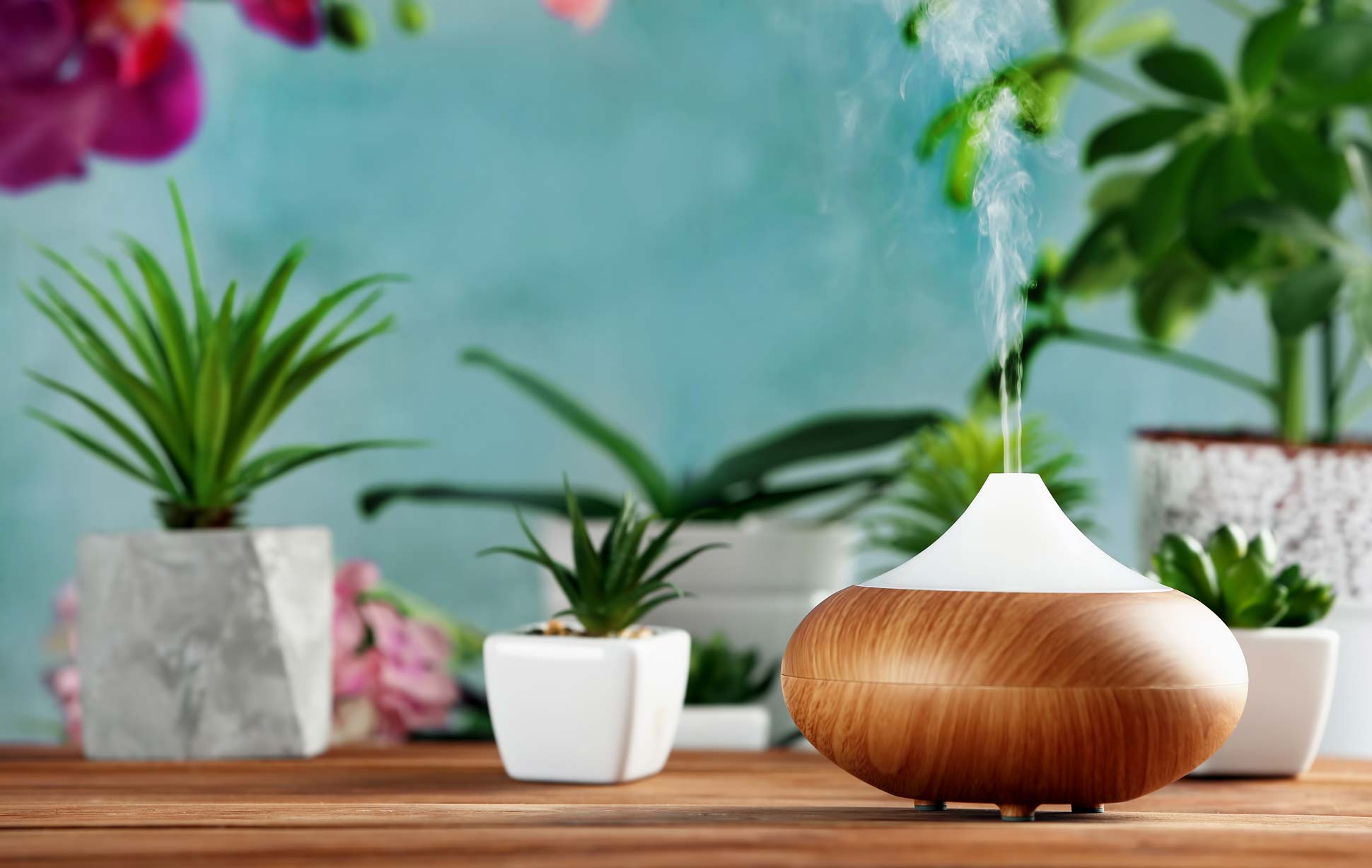The Best Essential Oil Diffusers of 2019