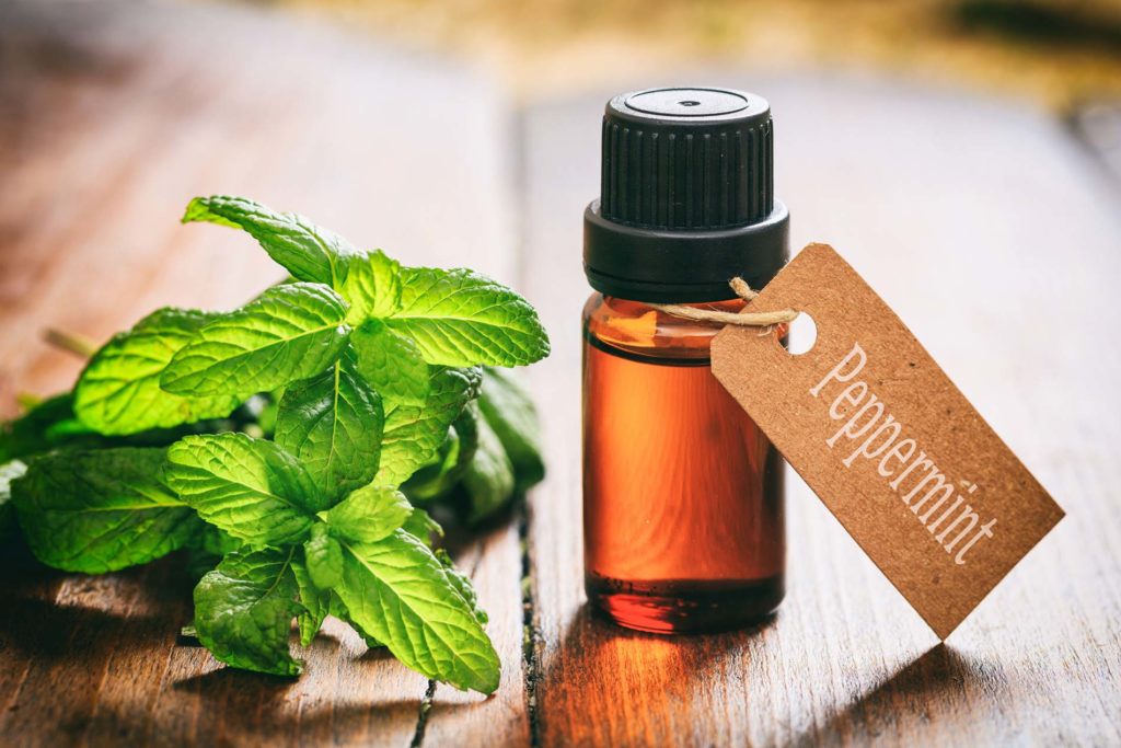 Best Essential Oils For Travel - Peppermint Essential Oil